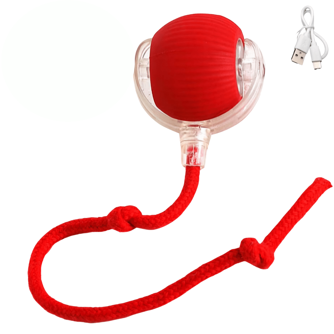 Smart Rolling Ball - FlowDo - AnimalsKatzenspielzeug