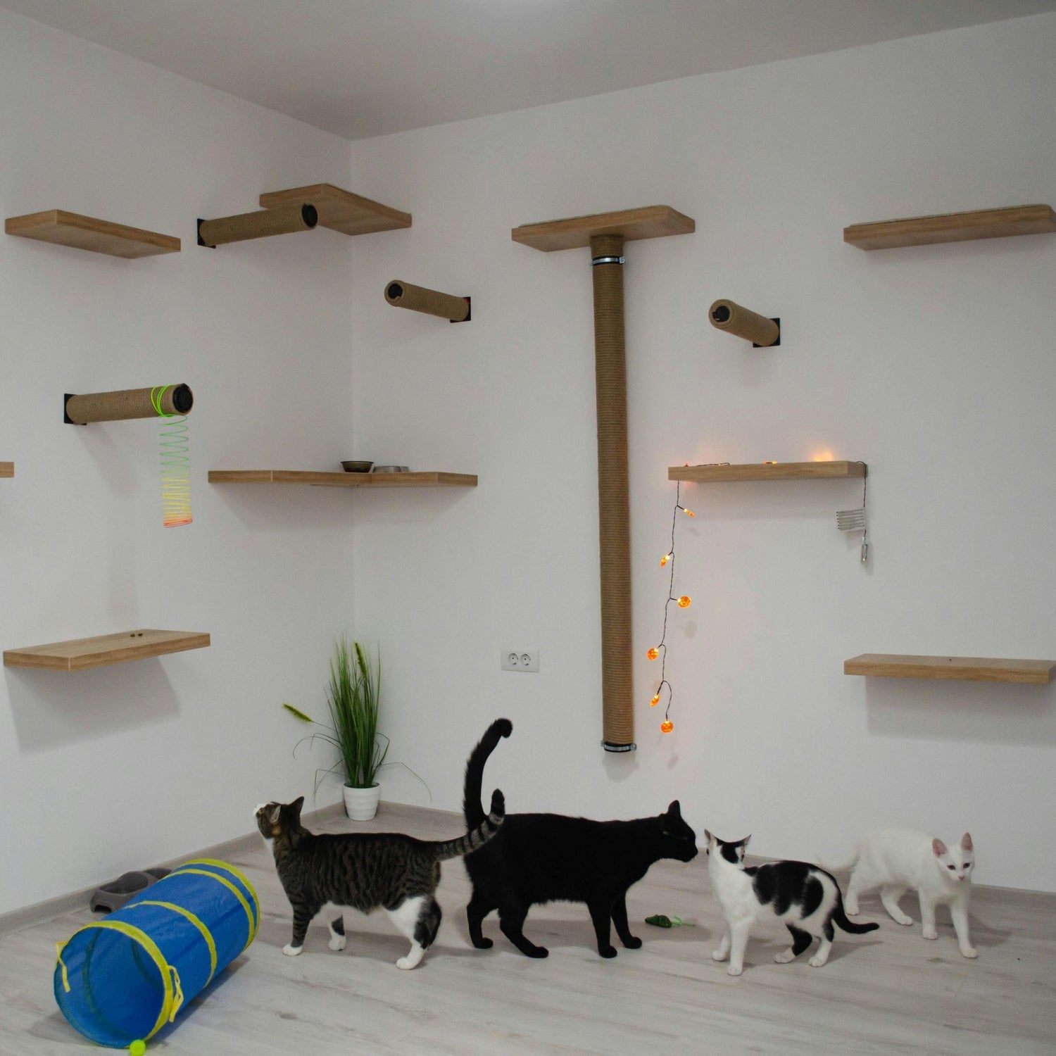 Katzenmöbel