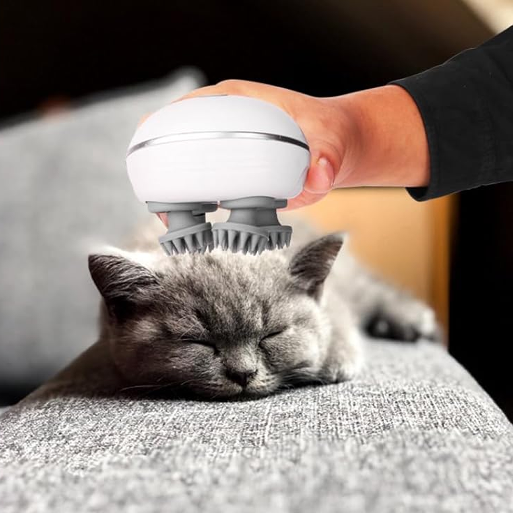 Katzenmassagegerät WhiskerWave