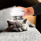 Katzenmassagegerät WhiskerWave